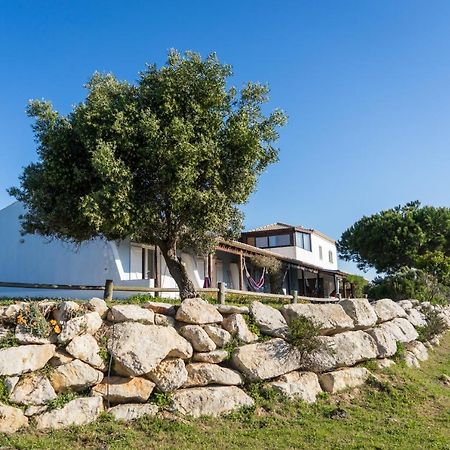 Hotel Monte Velho Retreat Centre Aljezur Exteriér fotografie